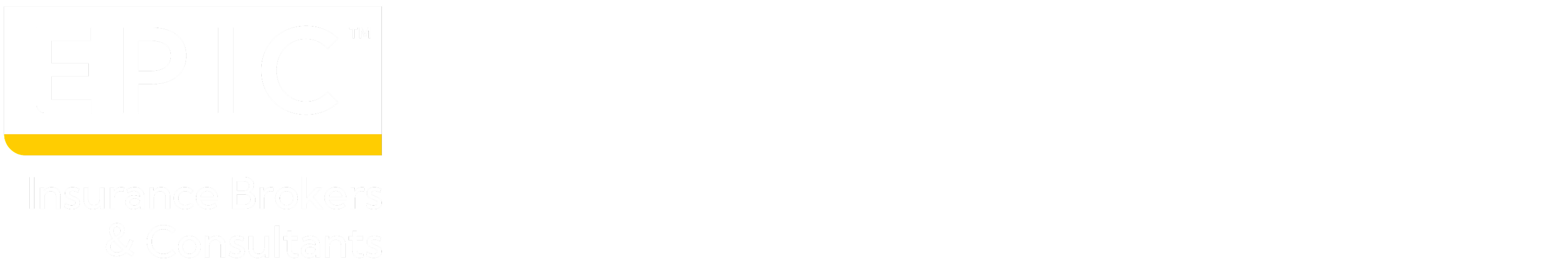 EPIC Logo